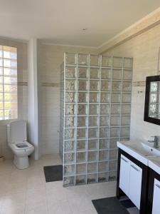 康斯坦察拉瑟尔酒店的一间带卫生间和玻璃墙的浴室