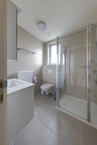 德哈恩Aan de duinbossen的带淋浴、盥洗盆和卫生间的浴室