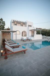 纳克索乔拉Naxos Infinity Villa and Suites的一座带游泳池和房子的别墅