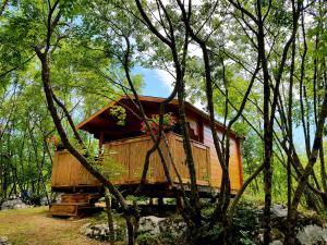 Foli罗宾逊自由豪华帐篷的森林中的一个树屋
