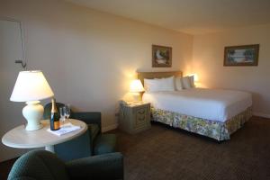 萨拉索塔丽都湾泳滩沙堡度假酒店的酒店客房配有一张床和一张带台灯的桌子