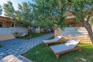 帕科坦Camp Bepo的庭院设有两把躺椅和一棵树