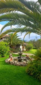 Puembo赞桑特山林小屋的棕榈树和院子中的喷泉