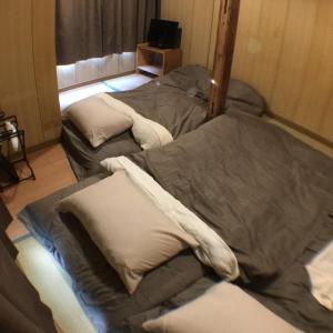 东京纳卡大雅旅馆的配有电视的客房内的两张单人床
