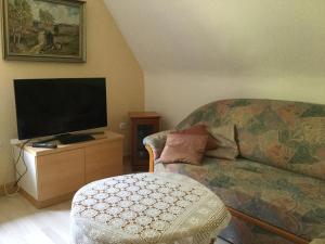 比勒费尔德20 Pellaweg Ferienwohnung的带沙发和平面电视的客厅