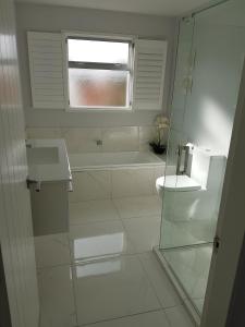 下哈特Delightful Petone Townhouse的带淋浴和卫生间的浴室以及窗户。