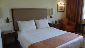 阿格拉提瑞迪特酒店的酒店客房带一张大床和一把椅子