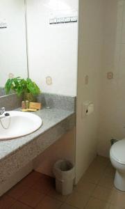 关丹关丹欧陆大酒店的一间带水槽、卫生间和镜子的浴室