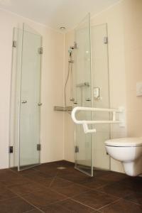 亨施泰特-乌尔茨堡阿瑞娜酒店的带淋浴和卫生间的浴室