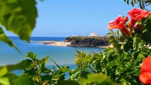 米尔芳提斯城Casa da Zi的鲜花丛中海滩美景