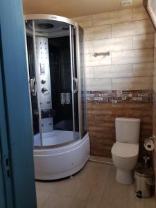 科布列季科布莱蒂旅馆的带淋浴和卫生间的浴室。