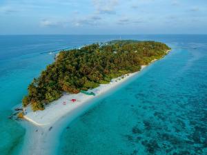 OmadhooHudhuvelimaldives的海洋中的一个岛屿