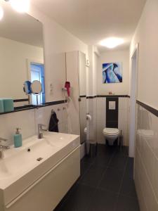 巴特诺因阿尔-阿尔韦勒Ferienhaus Schlupfwinkel的一间带水槽、卫生间和镜子的浴室