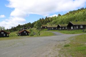 EtnedalGamlestølen Fjellstue的村前的土路