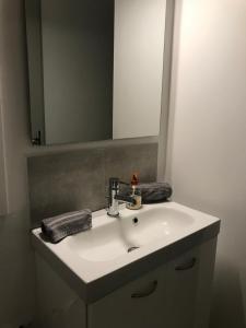 圣路易Studio 5 Near Basel Airport的一间带水槽和镜子的浴室
