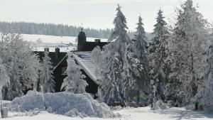 博兹达尔博兹达尔酒店 - 神剑的雪覆盖的树林,有火车