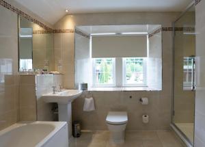 阿伯福伊尔Macdonald Forest Hills Hotel & Spa的一间带盥洗盆和窗户的浴室