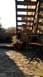 卡科佩特里亚Maritsa Lodge的坐在大楼旁边的椅子和鲜花