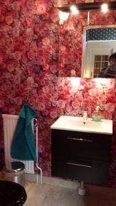 KvidingeVilla Signedal Hostel的一间带水槽和镜子的浴室