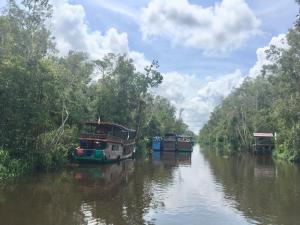 庞卡兰布翁Orangutan Shaka Houseboat with cabin的相册照片