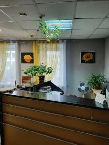 伊万诺沃Zubkovskiy Hotel的办公室,设有植物盆的前台