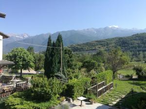 苏萨Agriturismo al pra di muriet的享有花园的背景山景。