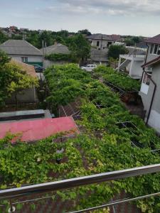 多亚马伊Vila Andre的屋顶花园
