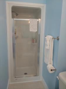 圣安德鲁斯弗雷德里克旅馆的带淋浴的浴室和玻璃门