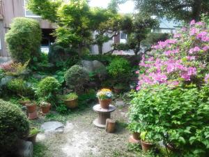 昭和の宿 汐凪 shionagi外面的花园