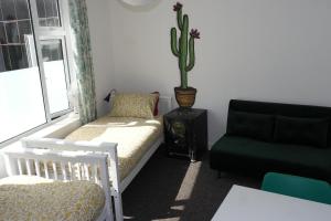 诺丁汉混合冰屋旅舍的带沙发、椅子和仙人掌的房间