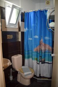 帕拉利亚卡泰里尼斯利拉鲁酒店的一间带卫生间和淋浴帘的浴室