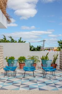 坎昆Studios Downtown Cancun的庭院设有蓝色椅子和盆栽植物