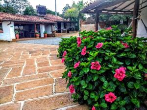 巴里查拉巴里查拉洛马酒店 的砖路上的一片灌木丛,花粉红