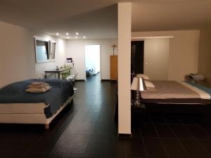 Nice Apartment in Horgen near lake and Pool平面图