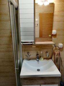 索科矿泉村Apatman Sergej的一间带水槽和镜子的浴室