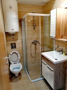 索科矿泉村Apatman Sergej的带淋浴、卫生间和盥洗盆的浴室