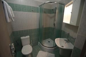 佩济诺克维那斯基大教堂酒店的浴室配有卫生间、盥洗盆和淋浴。