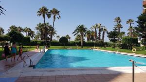 阿尔姆尼卡Atico estudio en 1°linea Almuñecar的棕榈树公园内的游泳池