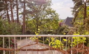 塞费塔尔Amber Lodge的阳台享有花园景色。