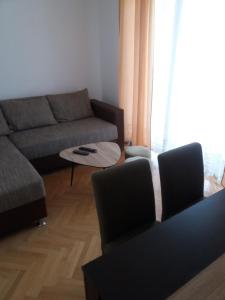 Apartment Jelena kod bazena Sneznik的休息区