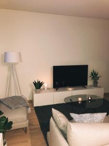 奥卢Beautiful apartment at Toppilansalmi的客厅设有壁挂式平面电视。