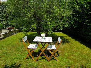 罗勒Les oliviers的一张野餐桌,配有两把椅子和花瓶