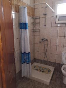 ÁvdhiraSeaside House的带淋浴、浴帘和卫生间的浴室