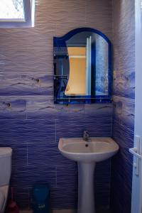 格里戈莱蒂New Wave1的一间带水槽和镜子的浴室