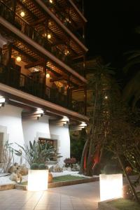 罗列特海岸Hotel La Carolina的带阳台和一些植物的大型建筑