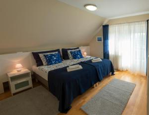 韦切什Airport Apartman的一间卧室配有一张带蓝色床单的床和一扇窗户。