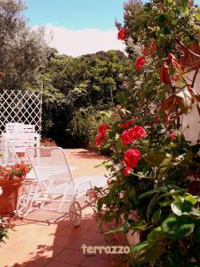 卡普里Villetta Rosetta的坐在玫瑰庭院的几把椅子上