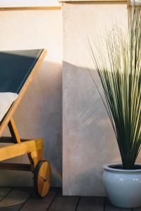 塞维利亚One&Lux Byron Suites的椅子旁边的白盆里的植物