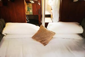 米努西奥Frida Do-Minus sail boat的两个枕头坐在一个房间里的床顶