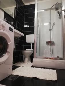 奥西耶克Apartment M&A的带淋浴、卫生间和洗衣机的浴室